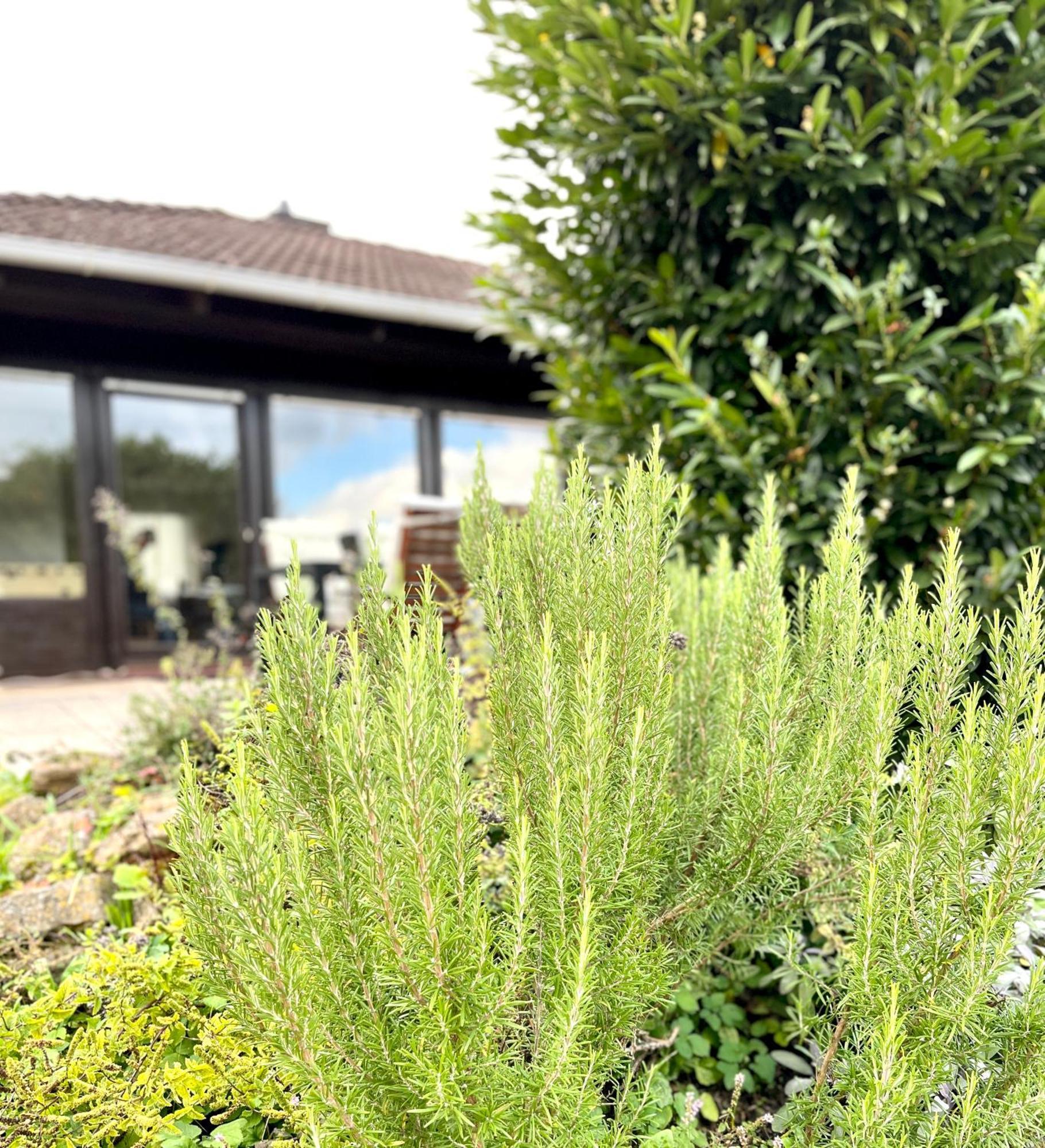 Ferienhaus Weinbergblick - Nahe Wuerzburg - 2 Schlafzimmer - Familienfreundlich - Terrasse Unterleinach Dış mekan fotoğraf