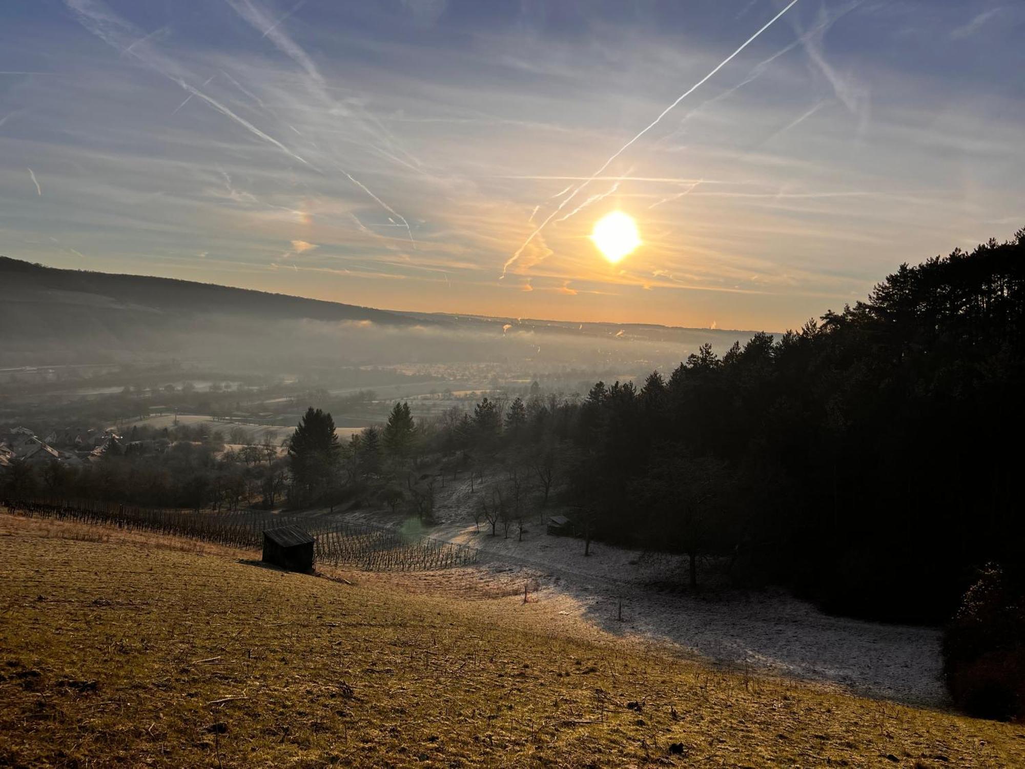 Ferienhaus Weinbergblick - Nahe Wuerzburg - 2 Schlafzimmer - Familienfreundlich - Terrasse Unterleinach Dış mekan fotoğraf