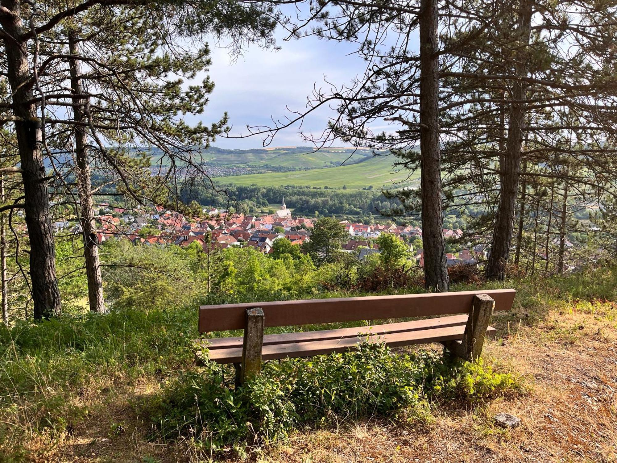 Ferienhaus Weinbergblick - Nahe Wuerzburg - 2 Schlafzimmer - Familienfreundlich - Terrasse Unterleinach Dış mekan fotoğraf